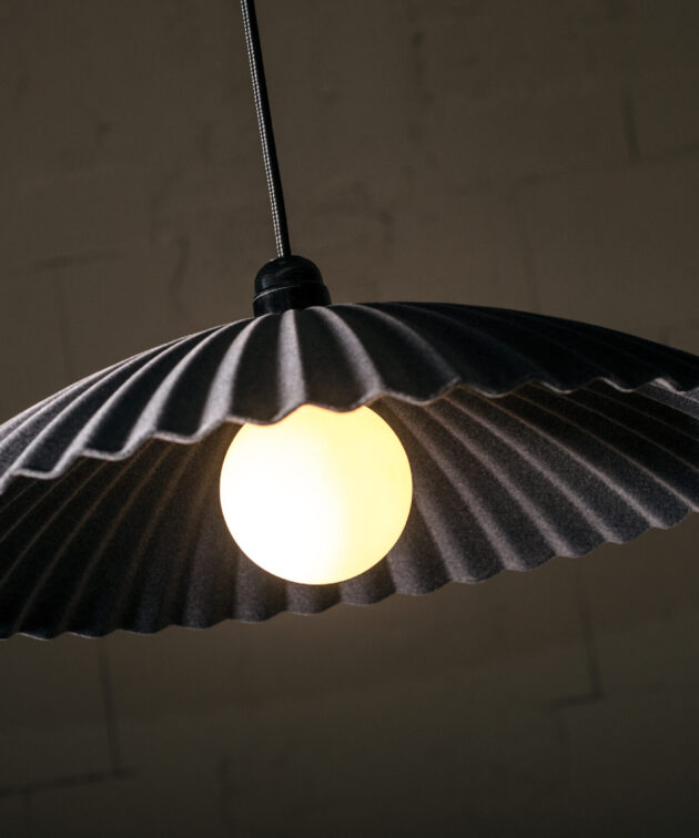 Alternative view of Fala Velvet